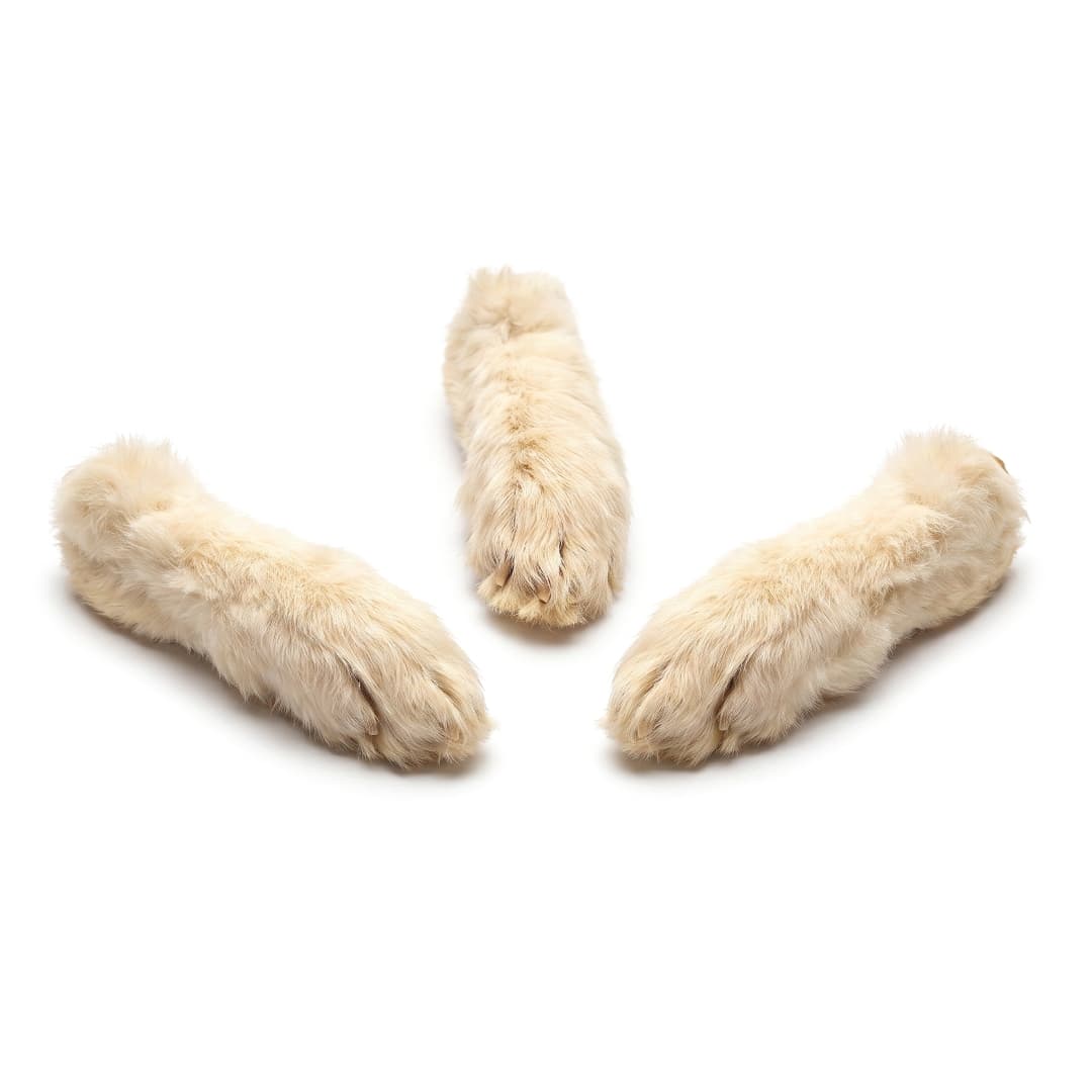 Rabbit Feet With Hair