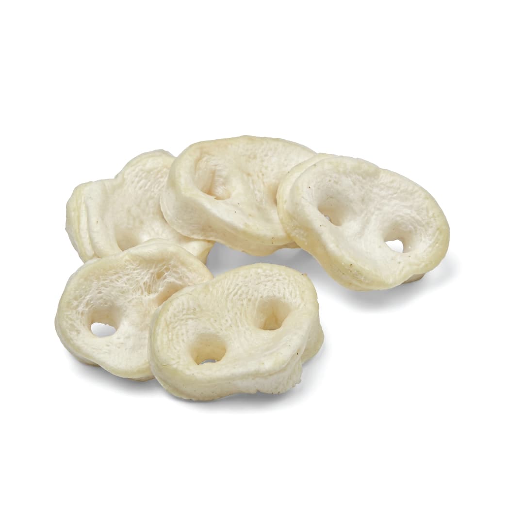 White Pig Snouts