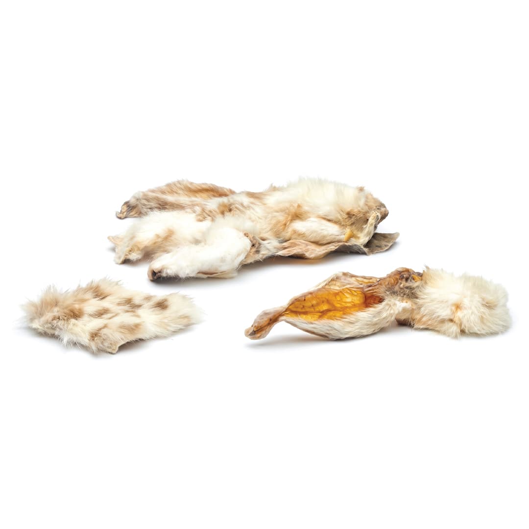 Rabbit Ear With Hair