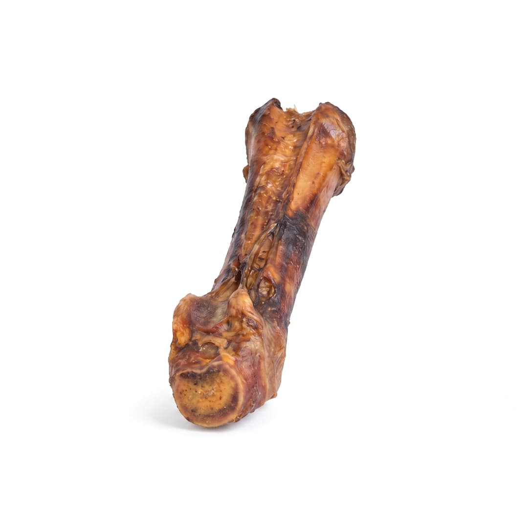 Horse Leg Bone