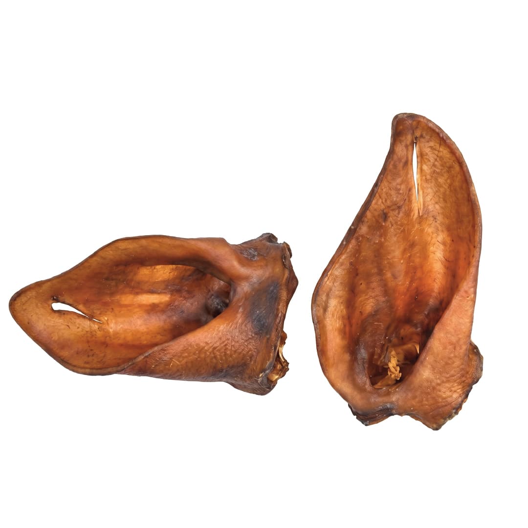 Boar Ear