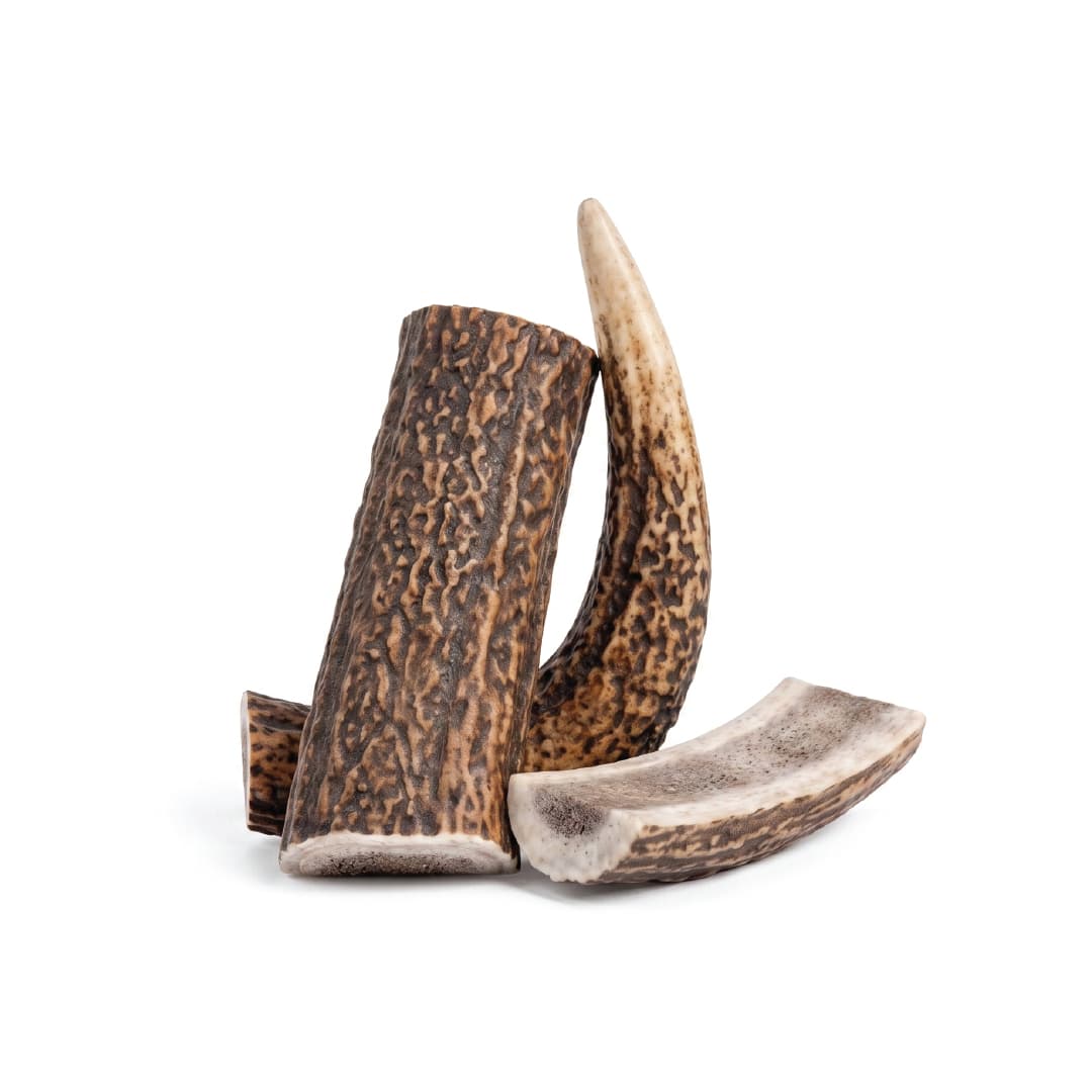 Deer Antler Split