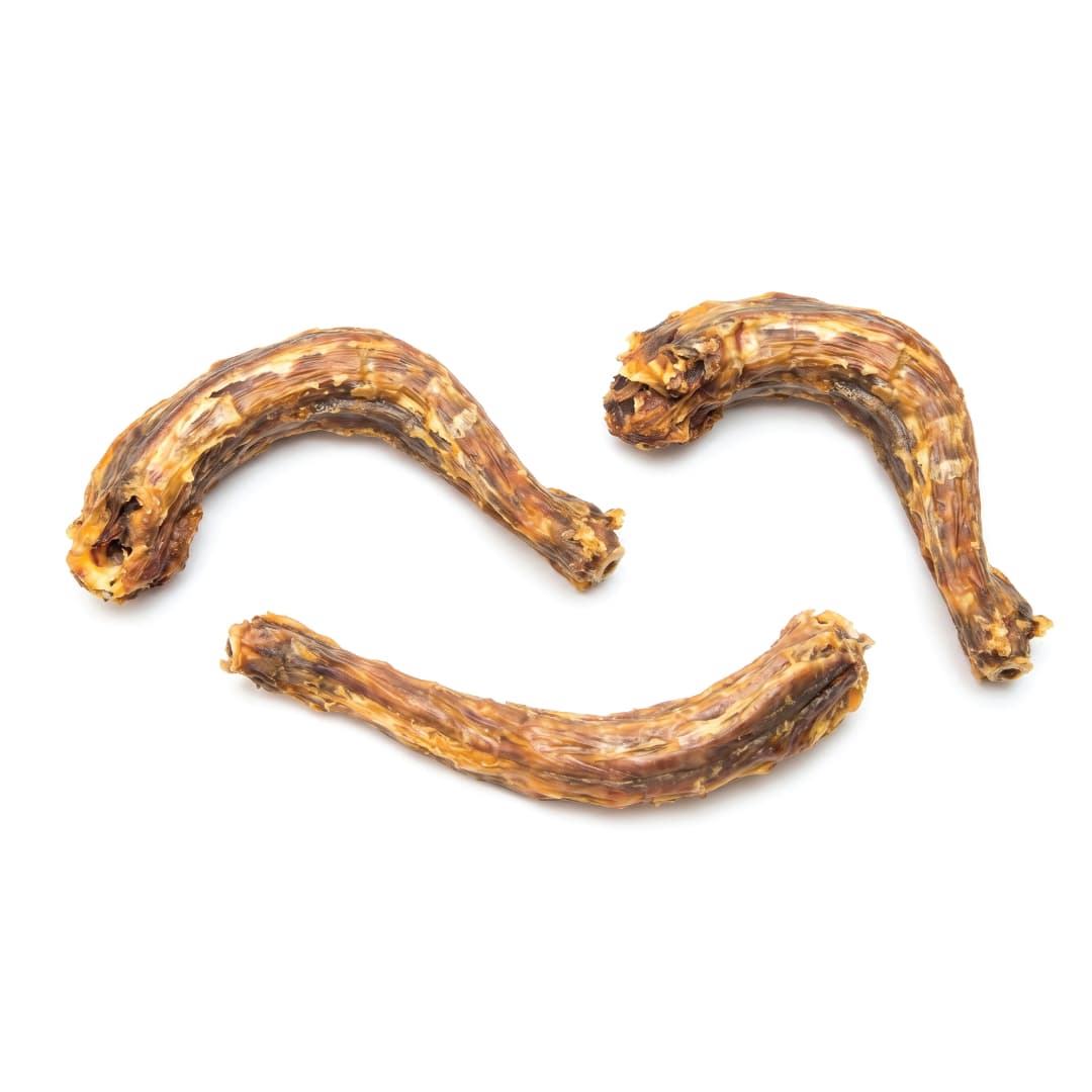 Turkey Necks