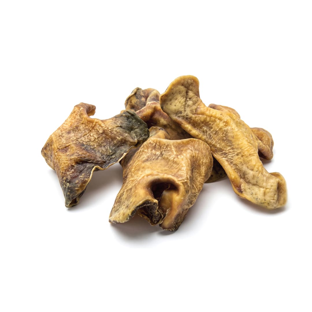 Beef Snouts