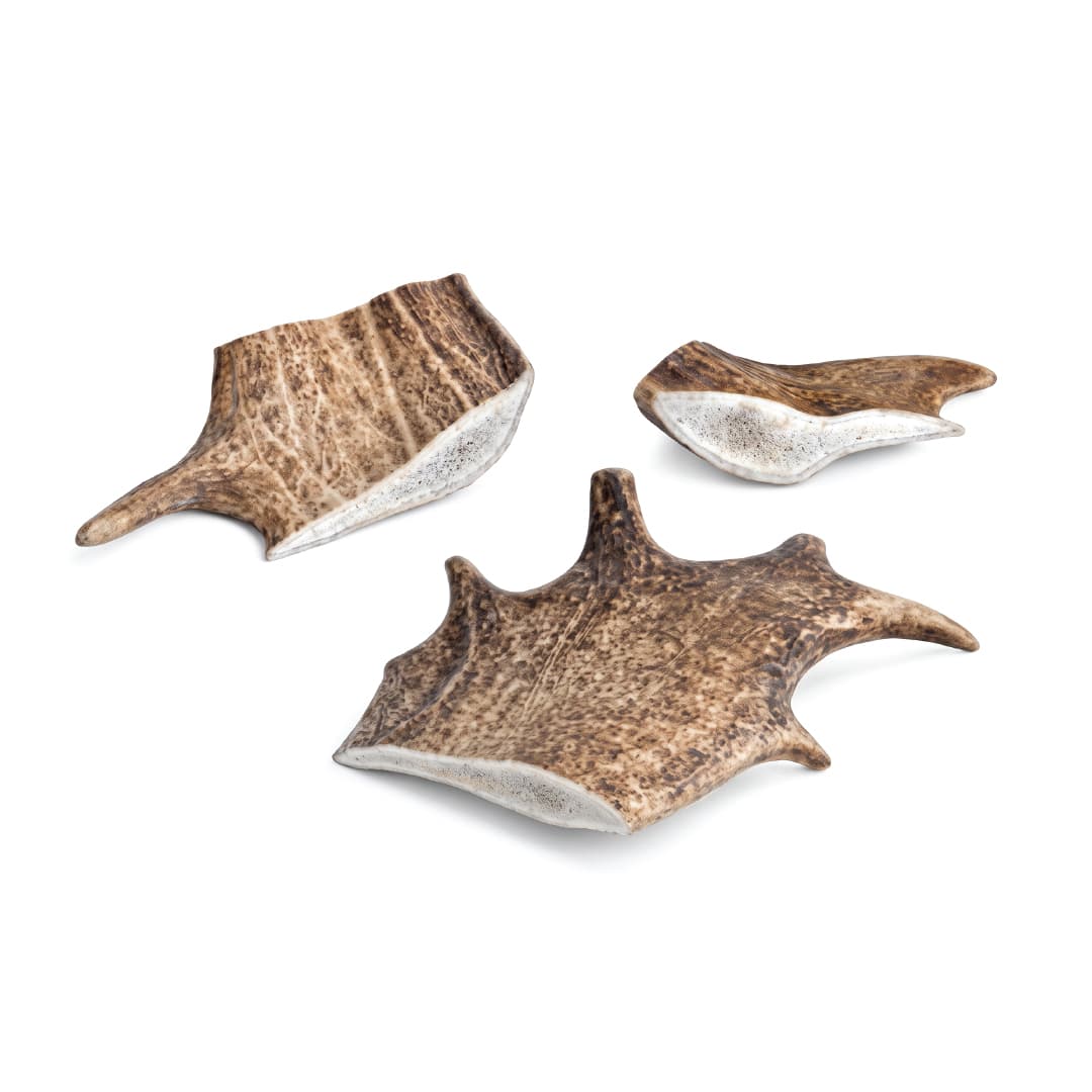 Fallow Antler